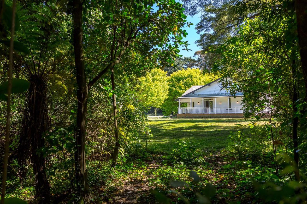 The Forest House Pirinoa Luaran gambar