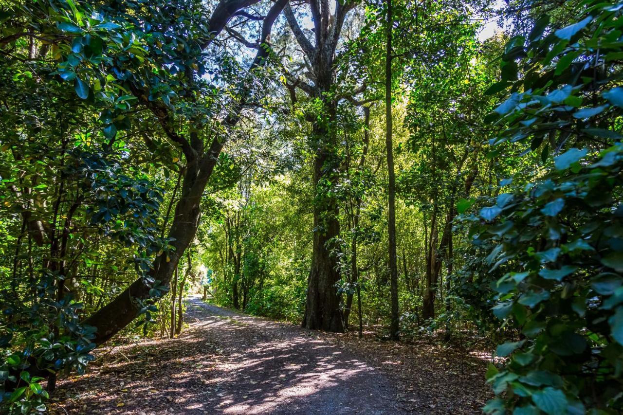 The Forest House Pirinoa Luaran gambar